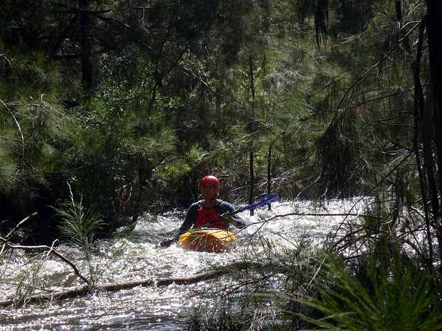 nepean-river-4-june-2011